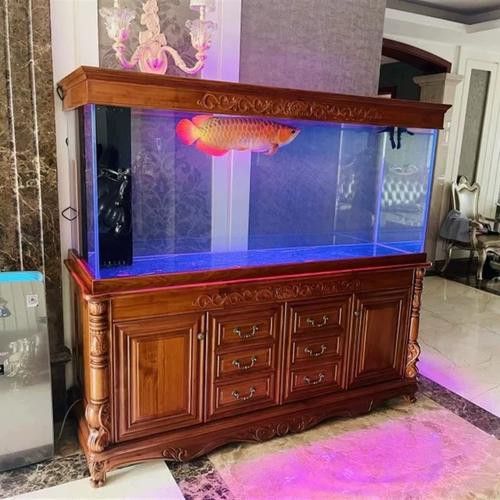 歐柏龍魚缸怎么樣