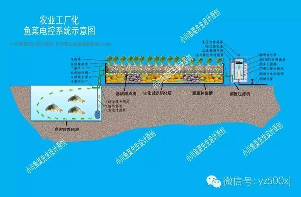 生化環與生化球在過濾中的角色：生化球與生化球的優缺點對比