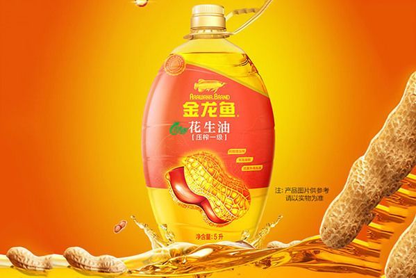 什么樣的金龍魚(yú)好，如何選擇和養(yǎng)護(hù)金龍魚(yú)