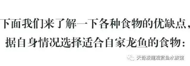 龍魚能喂火腿腸嗎怎么喂：龍魚不適合喂食火腿腸嗎，龍魚能喂火腿腸嗎怎么喂
