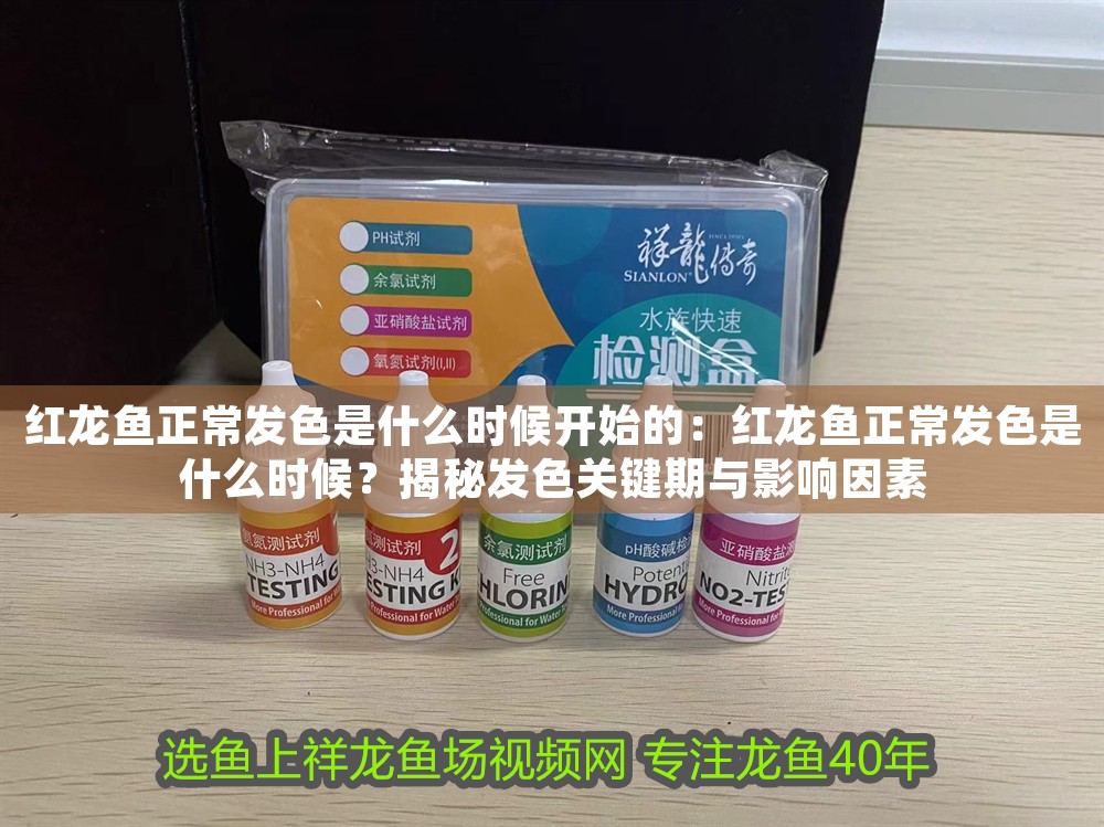紅龍魚正常發色是什么時候開始的：紅龍魚正常發色是什么時候？揭秘發色關鍵期與影響因素 紅龍魚正常發色是什么時候開始的：紅龍魚正常發色是什么時候？揭秘發色關鍵期與影響因素 龍魚百科 第1張