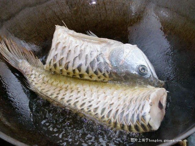 銀龍魚的做法大全圖解竅門