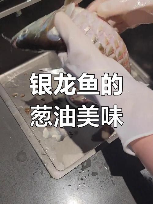 銀龍魚的做法大全圖解竅門