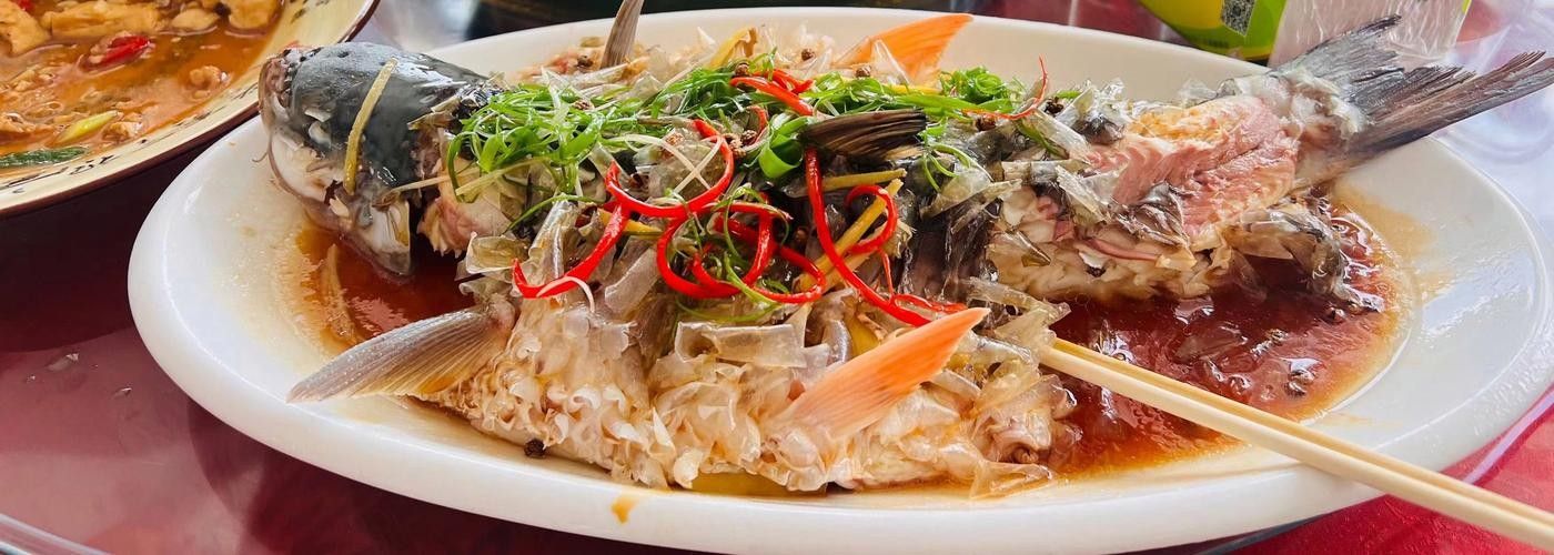 銀龍魚的做法大全圖解竅門