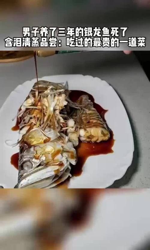 銀龍魚的做法大全圖解竅門