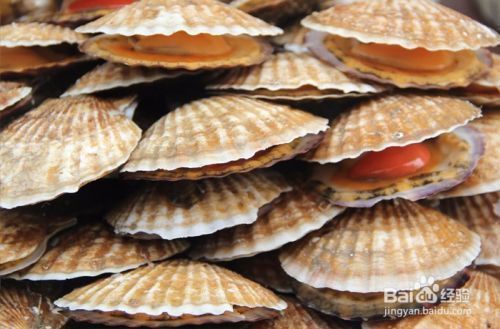 龍魚虎魚打架是因?yàn)轸~太少嗎為什么：龍魚和虎魚之間的沖突可能由多種因素引起，不僅僅是因?yàn)閿?shù)量較少