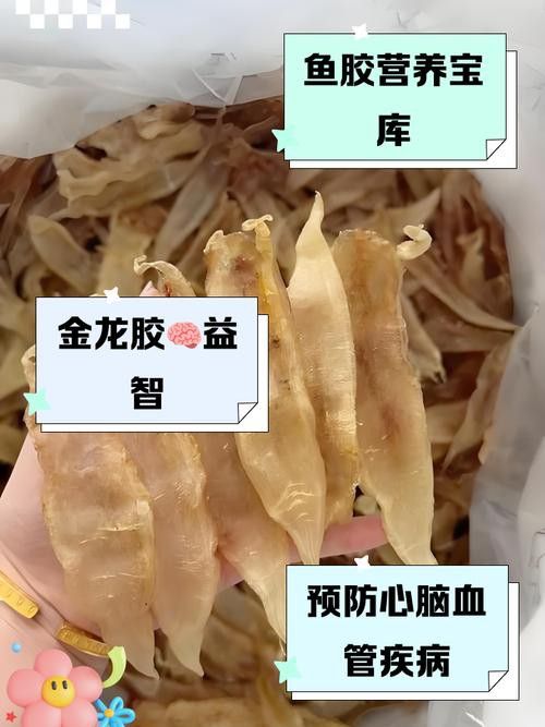 正宗金龍魚膠圖片及價格 正宗金龍魚膠圖片及價格 龍魚百科 第16張