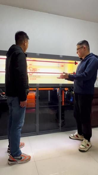 保定龍魚專賣店
