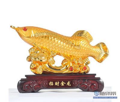 家里養(yǎng)什么龍魚招財（家里養(yǎng)什么魚最招財）