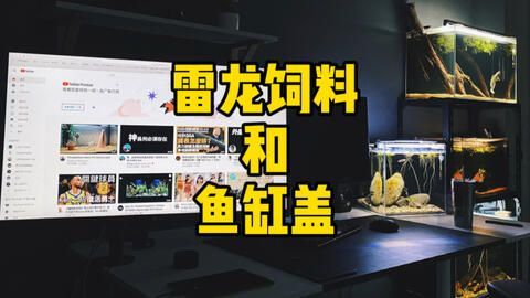 雷龍魚喂什么飼料好（雷龍魚飼料品牌推薦）