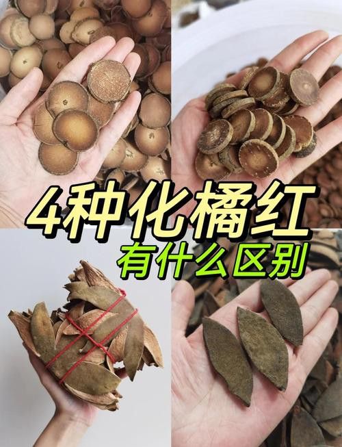 如何區分橘紅龍魚與其他品種？