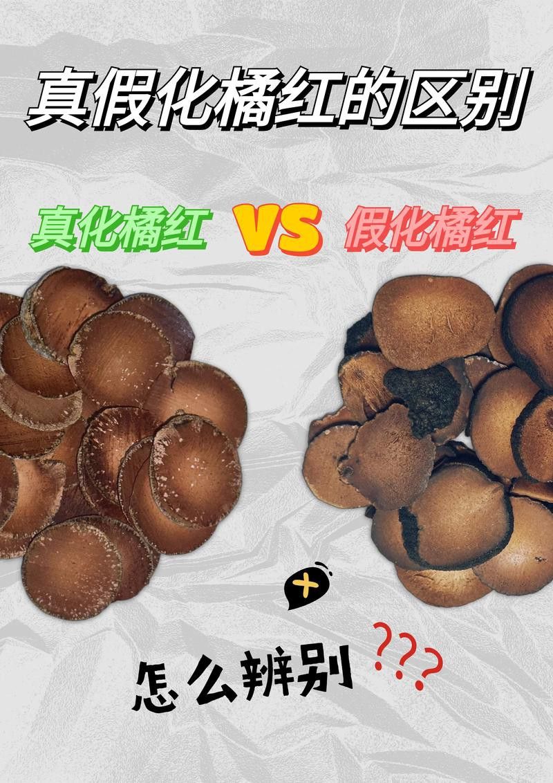 如何區分橘紅龍魚與其他品種？