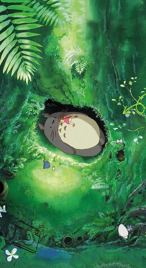 哪種方法對龍貓最安全？