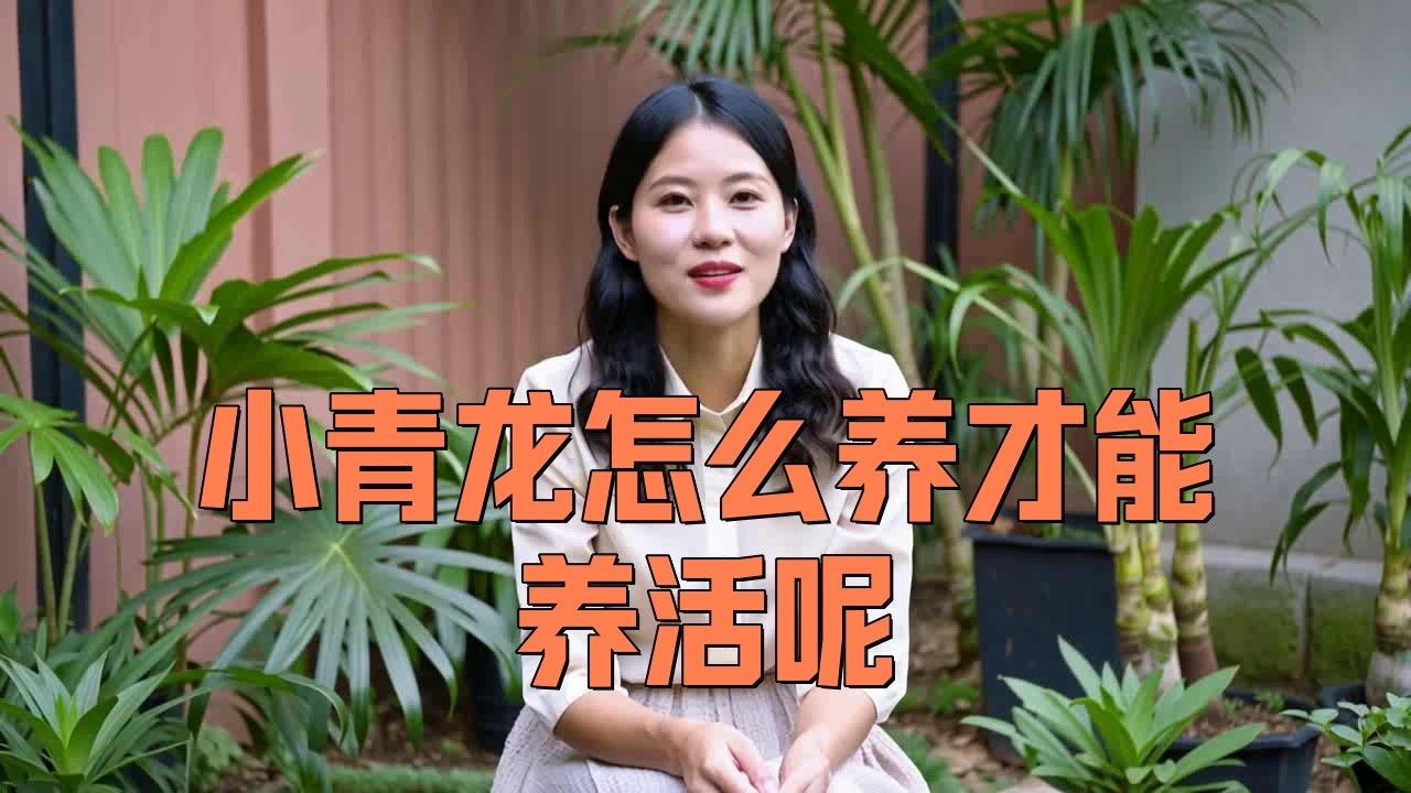 青龍魚的壽命有多長呢