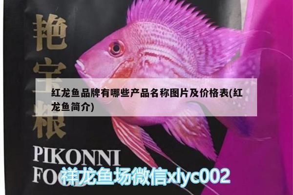 紅龍魚品牌有哪些（紅龍魚品牌哪家口碑好）