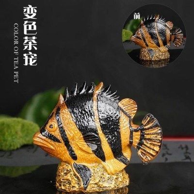 金龍魚變色的階段有哪些變化：金龍魚變色的過程