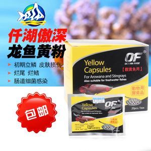 黃粉可以治龍魚立鱗嗎【關(guān)于黃粉治療龍魚疾病的一些問題】