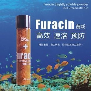 龍魚爛鰭爛尾用黃粉：黃粉可以作為治療龍魚爛鰭爛尾的有效藥物