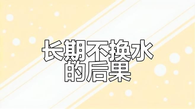 龍魚趴缸需要換水嗎