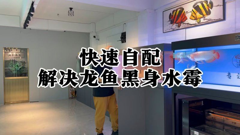 如何判斷龍魚是否感染黑霉病？