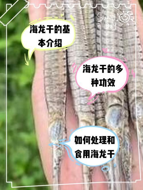 有沒有假海龍干的案例？