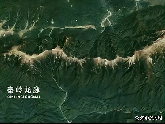 風水中龍有幾種