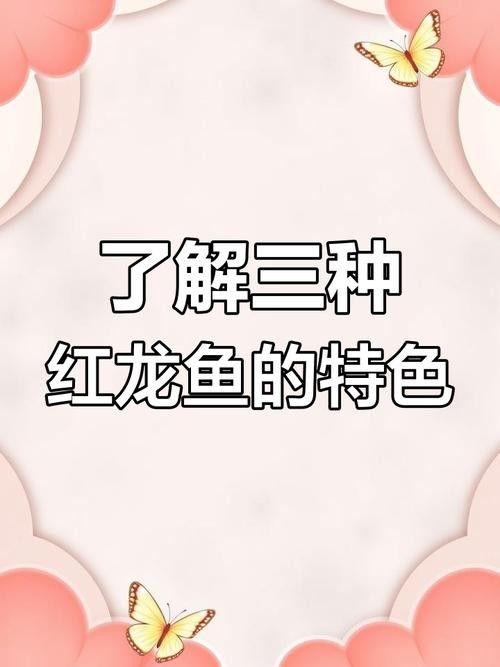 龍魚有什么特點和特征圖片