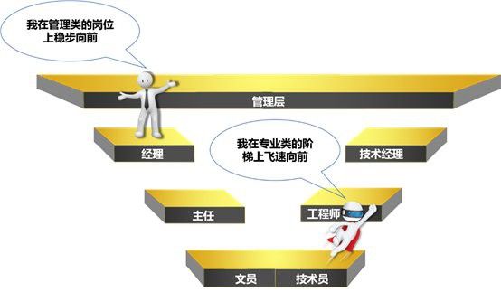 北京金龍魚公司官網地址在哪里