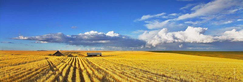 北京金龍魚公司官網地址在哪里