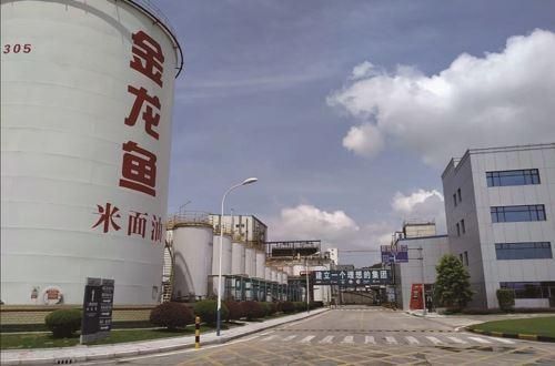 金龍魚餐飲渠道，金龍魚餐飲渠道業績影響因素金龍魚調味品市場布局