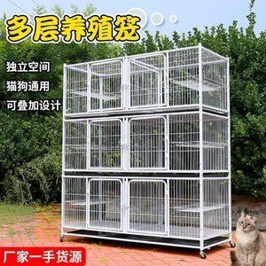 其他寵物批發：北京梨園寵物用品商城、廣州花地灣花鳥魚蟲市場批發市場