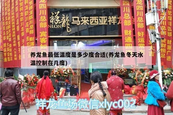 養(yǎng)龍魚最低溫度是多少：養(yǎng)龍魚的最低溫度應設定在24°c左右，