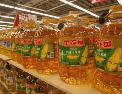 龍魚是否吃玉米（龍魚可以吃玉米嗎）