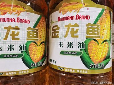 龍魚是否吃玉米（龍魚可以吃玉米嗎）