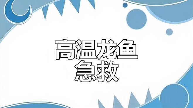 如何正確清洗和更換龍魚(yú)飼養(yǎng)的濾材？