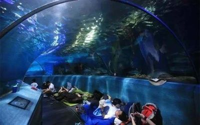 南京水族館（南京海底世界的特色動(dòng)物）