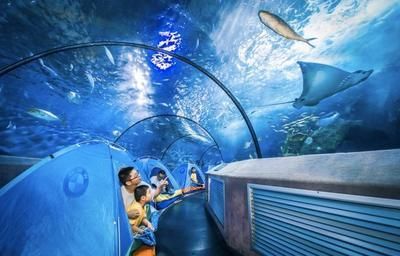 南京水族館（南京海底世界的特色動物）