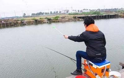 魚苗投喂頻率調整方法：如何判斷魚苗飽食程度，魚苗投喂量控制方法