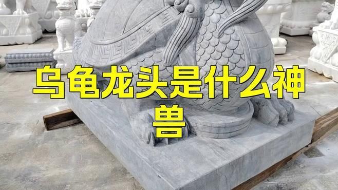 龍龜可以鎮宅辟邪嗎？