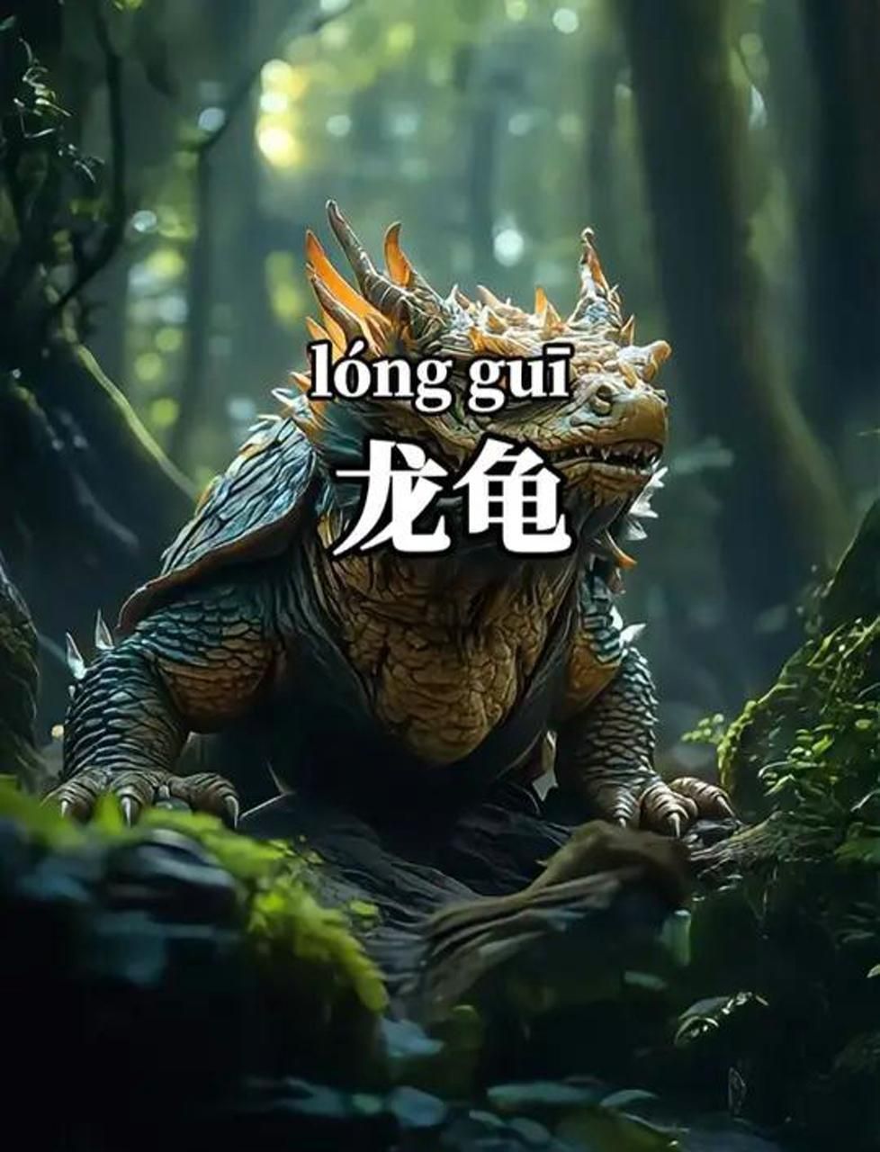 龍龜可以鎮宅辟邪嗎？