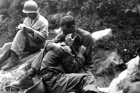 綠老虎團(tuán)旗 綠老虎團(tuán)旗 龍魚(yú)百科 第5張