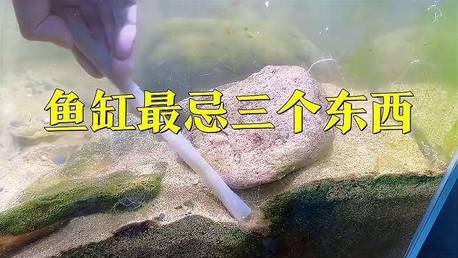 錦鯉濾材最忌三種東西