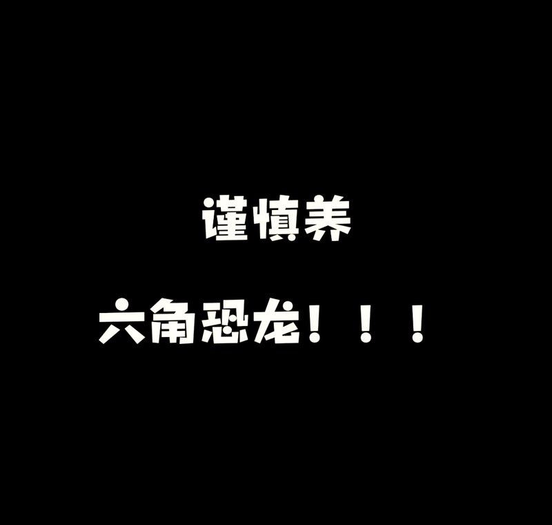 六角龍魚好養不