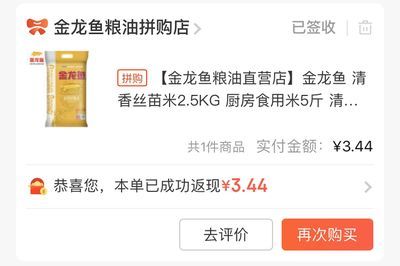 龍魚需要24小時開燈嗎