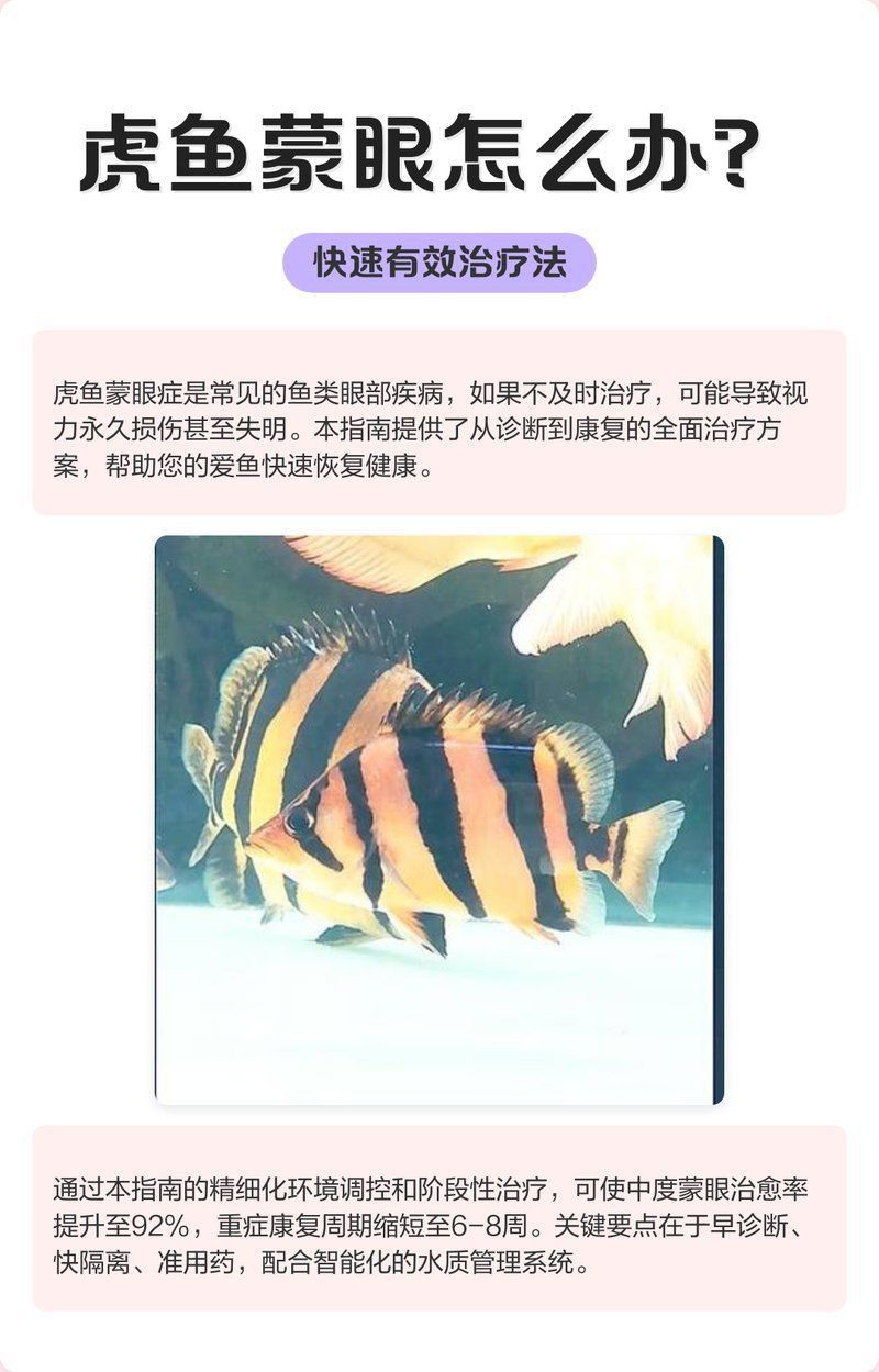 金老虎魚三間眼斑最簡單三個步驟