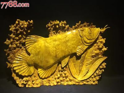 黃金龍魚多少錢？（黃金龍魚價格(黃金龍魚價格多少錢一條）