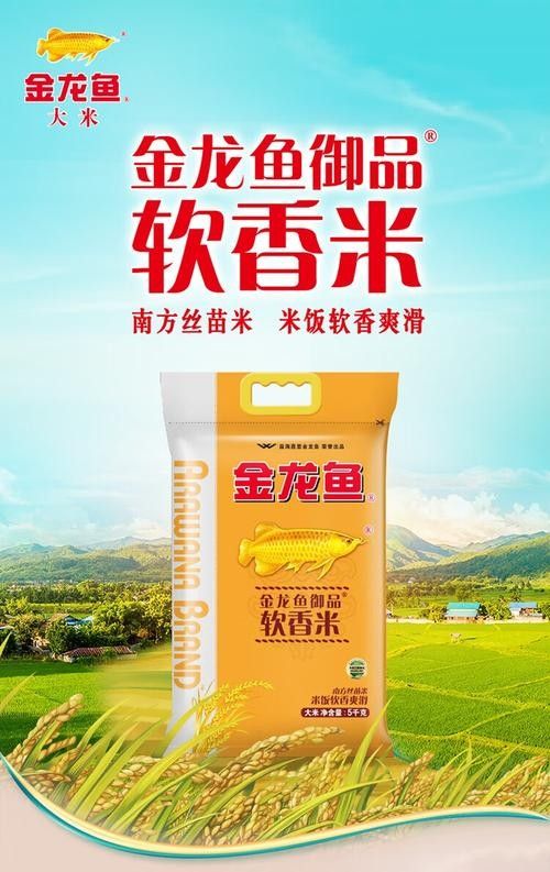 金龍魚軟香米