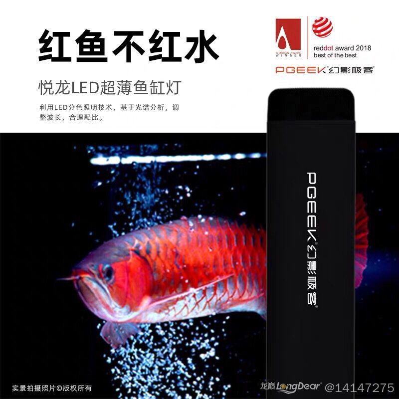 紅龍魚價格及圖片大全集欣賞圖解（紅龍魚價格及圖片大全集欣賞圖解）