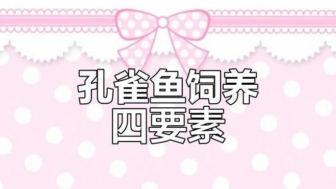 孔雀龍魚的最佳飼養環境是什么？