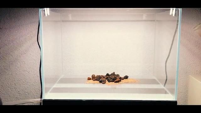 水草魚缸造景教程視頻，水草魚缸造景視頻教程